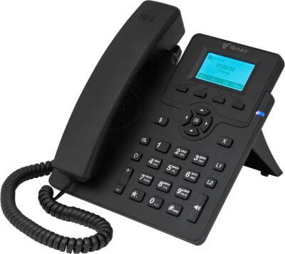 ������� IP ���� Flat-Phone-C10/RU ������