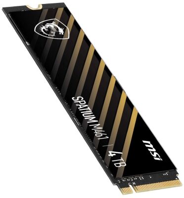  SSD PCIE 4.0 NVME M.2 4TB SPATIUM M461 4TB MSI
