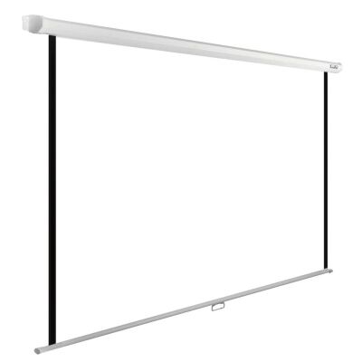 ����� Cactus 125x200�� WallExpert CS-PSWE-200x125-WT 16:10 ��������-���������� ��������
