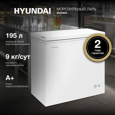 ����������� ���� Hyundai CH20031 ����� 80��