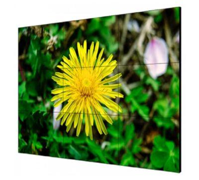 LCD- DS-D2055LE-G HIKVISION