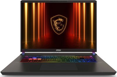 ������� MSI Vector 17 HX AI A2XWIG-063XRU Core Ultra 9 275HX 32Gb SSD1Tb NVIDIA GeForce RTX5080 16Gb 17" IPS QHD+ (2560x1600) FreeDOS grey space WiFi BT Cam (9S7-17S372-063)