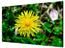 LCD ������ DS-D2055LE-G ��� ����������, 55", 500��/�2 ���: 1.8 ��,